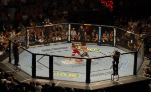 UFC octagon