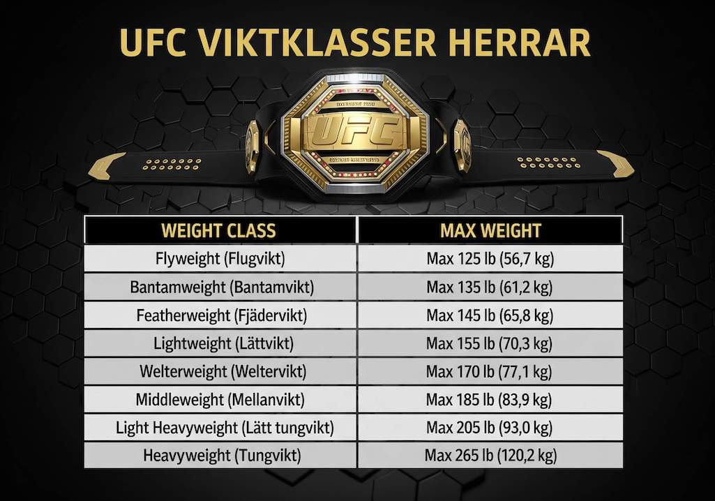 Viktklasser för herrar i UFC